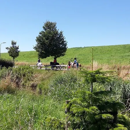 פארק נופש Ijsselhof Type Medemblik 6