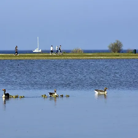 Ijsselhof Type Medemblik 6 منتزه العطل *
