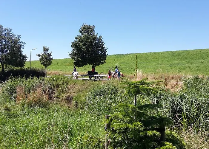 Vakantiepark Ijsselhof Type Medemblik 6